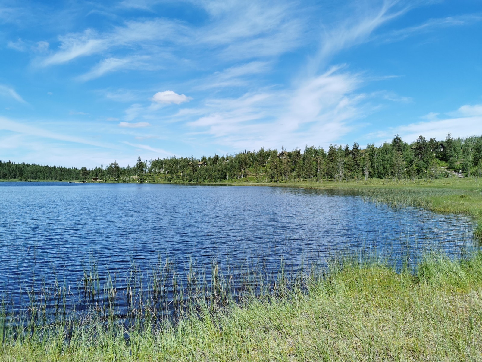Idylliske Killingtjern Galleribilde