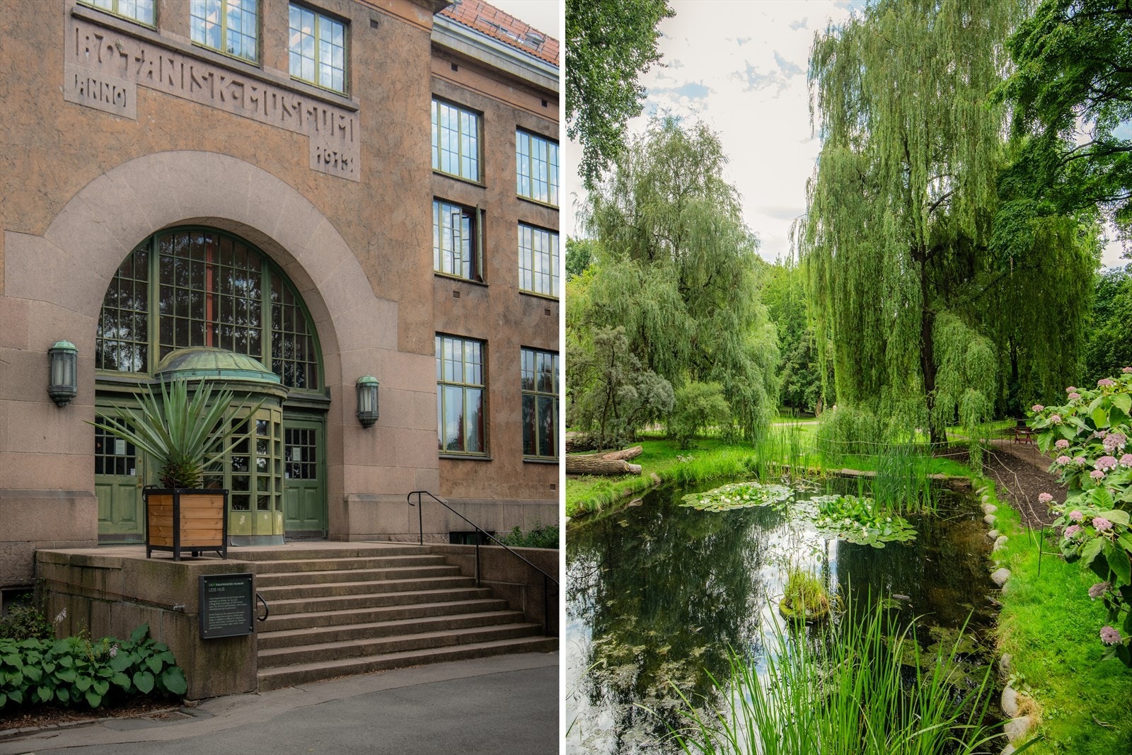 Fra leiligheten er det gangavstand til fantastiske Botanisk Hage samt andre parker/turområder. Galleribilde