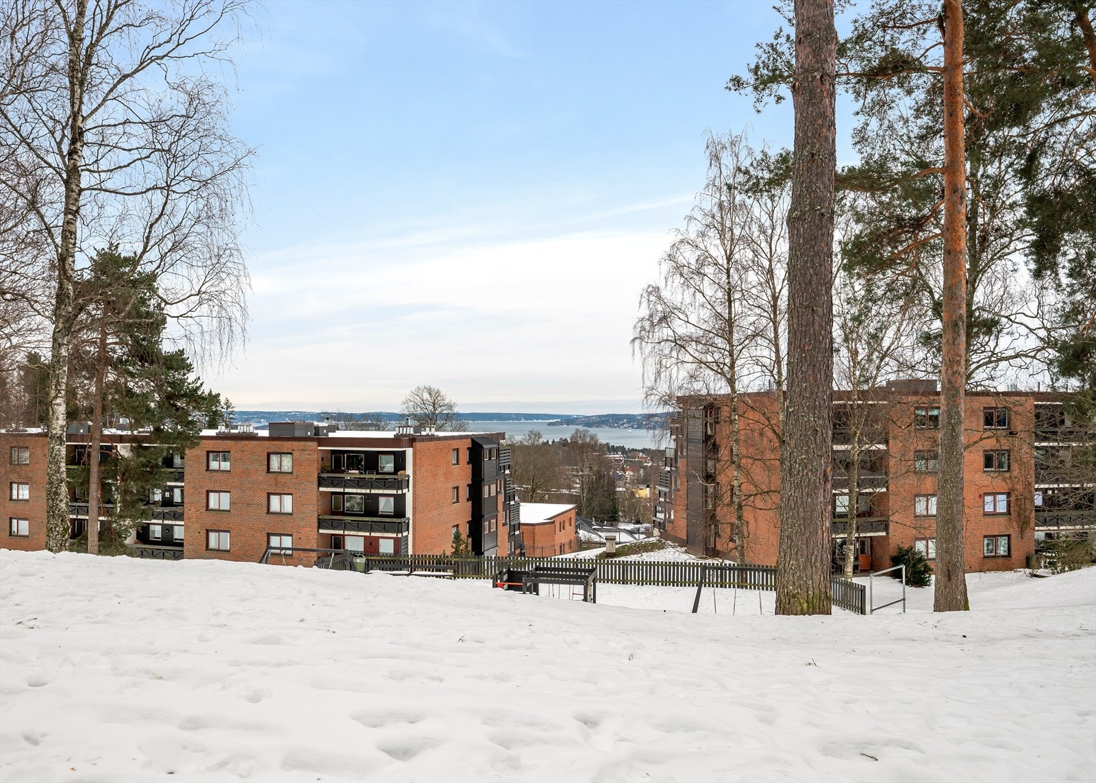 Sameiet grenser mot store, flotte grøntområder Galleribilde