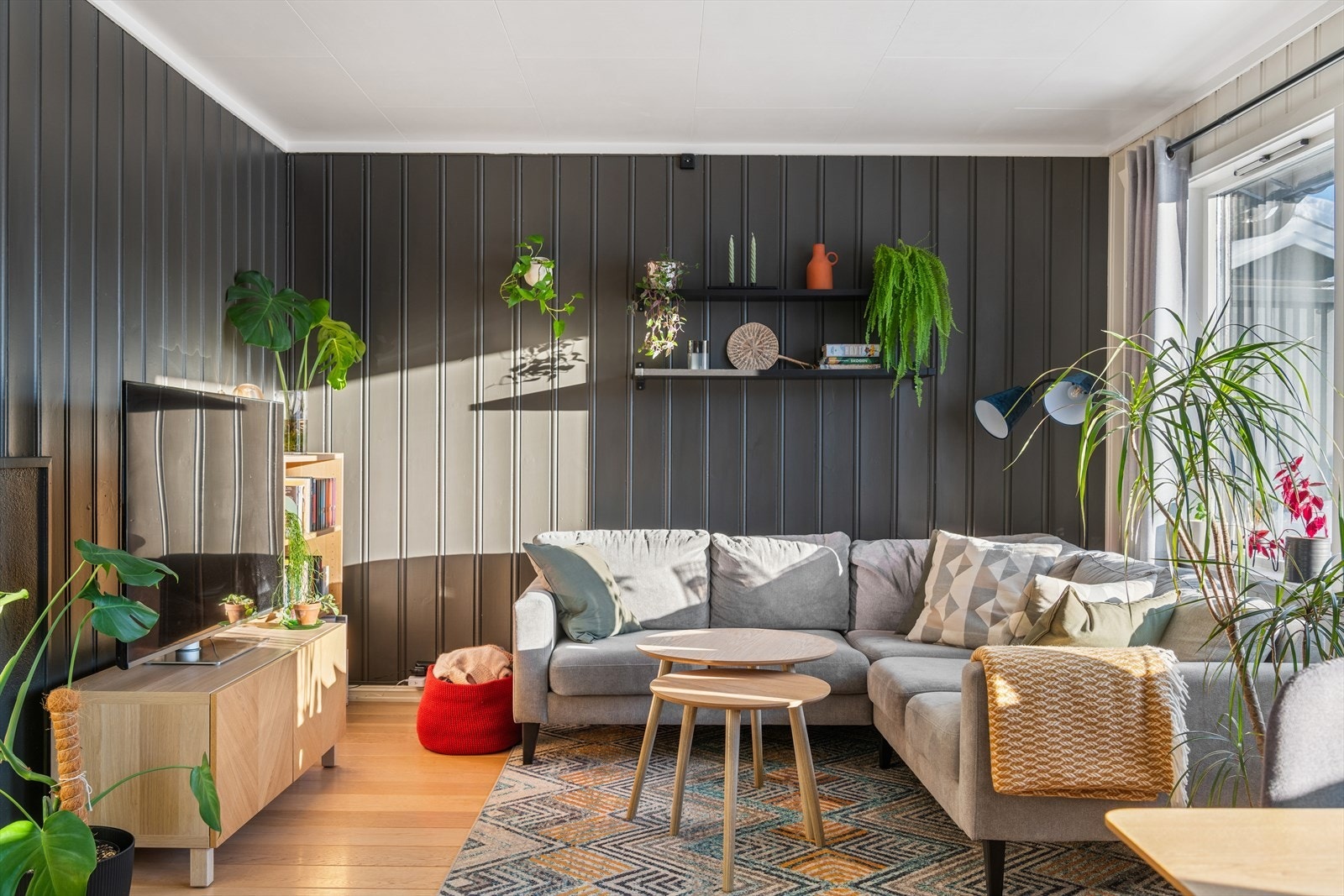 Vegger med malt panel og laminat på gulvet med et helhetlig inntrykk for harmoni. Galleribilde