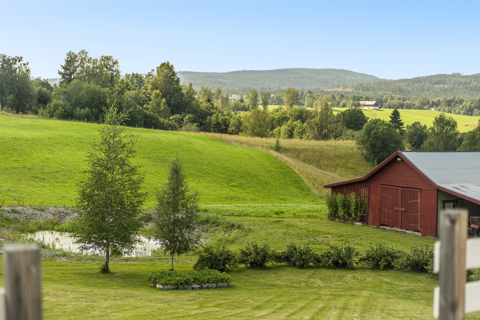 Fin utsikt Galleribilde
