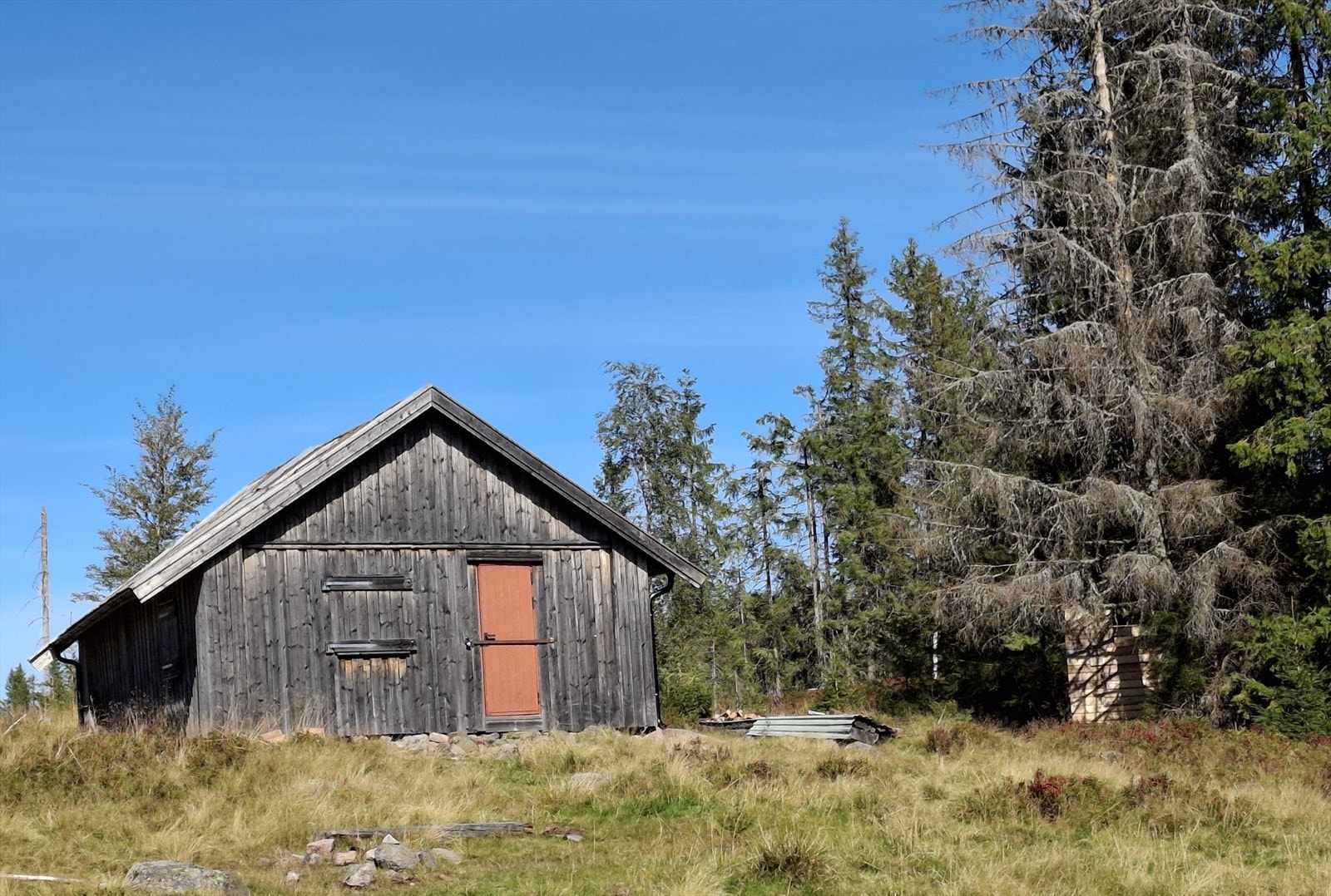 20250826_142607.jpg Galleribilde