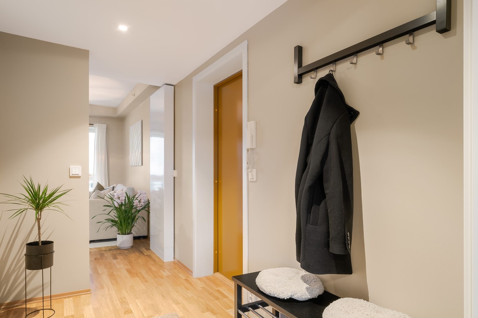 Her vil man bo med kort gange til NTNU Dragvoll. Galleribilde