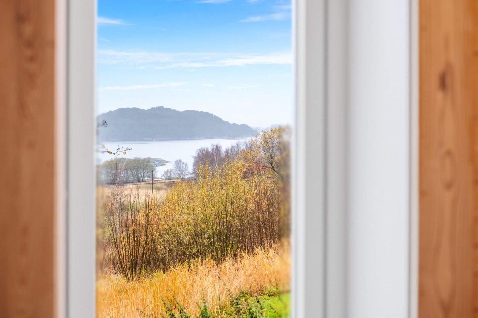 Utsikt. Galleribilde