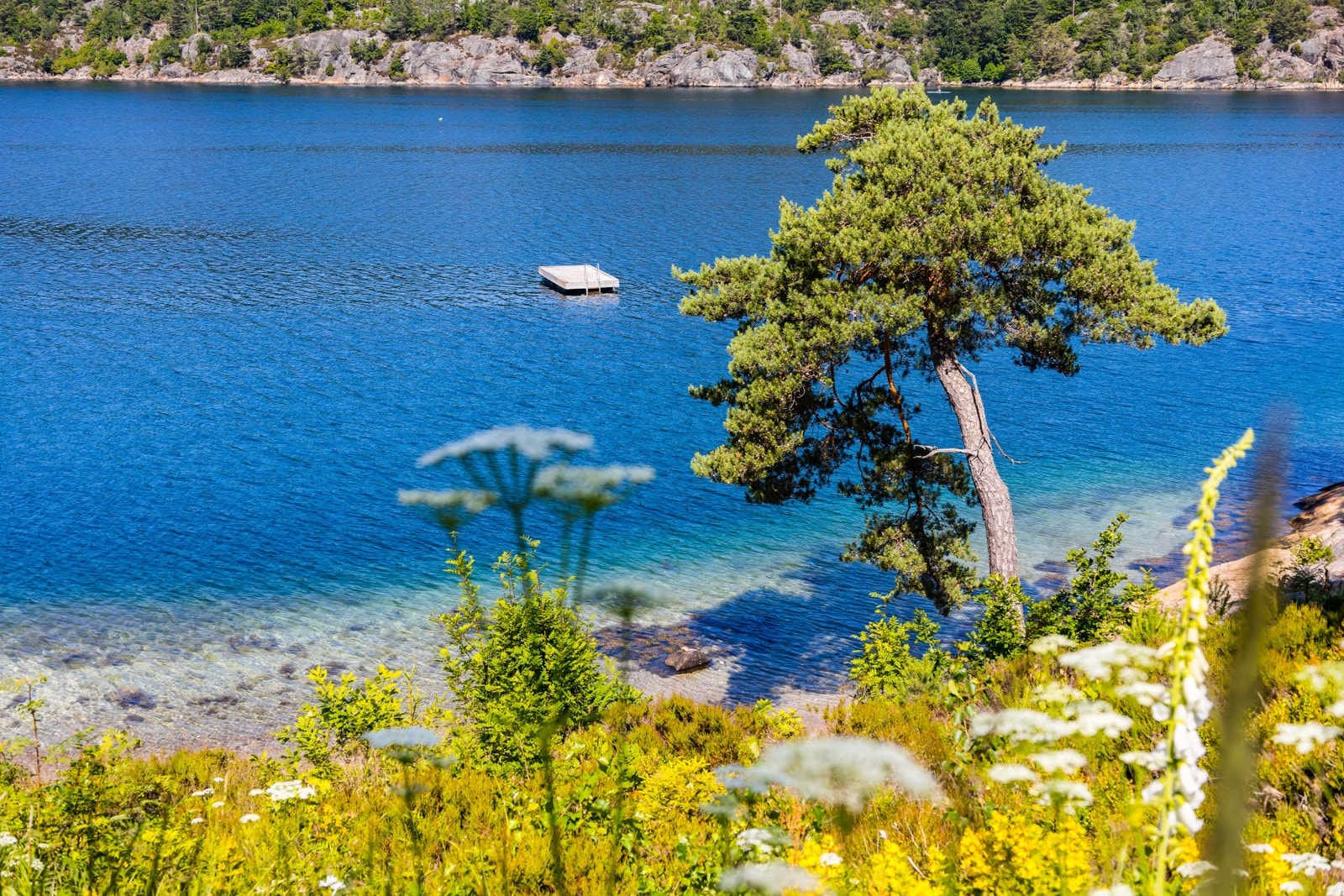 Unik beliggenhet - kun en kort rusletur unna badestrand og båtplass. Galleribilde