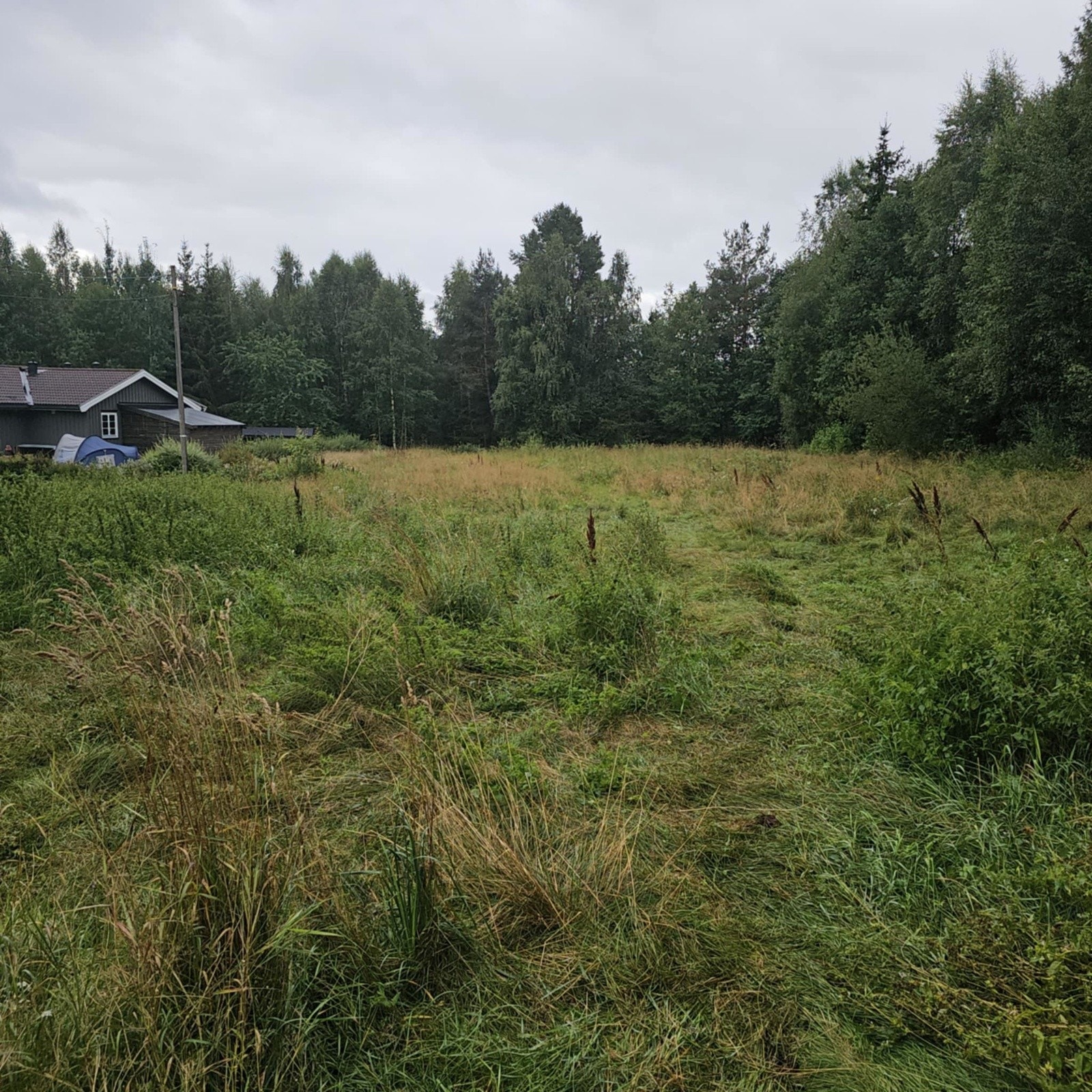 (Selgers egne bilder) Galleribilde