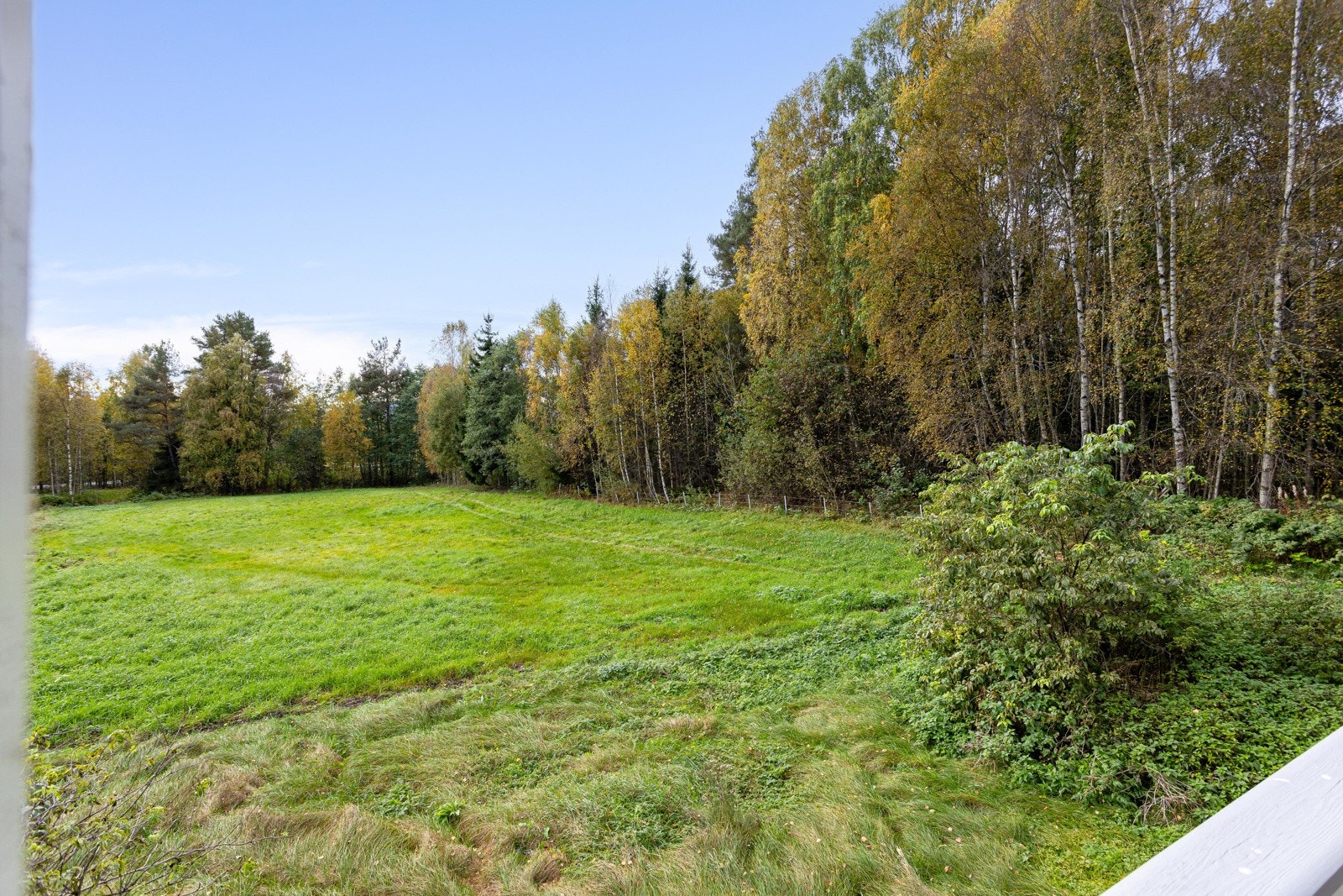 Stor hage og romslig tomt. Galleribilde