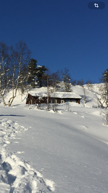 Hytta i vinterdrakt Galleribilde
