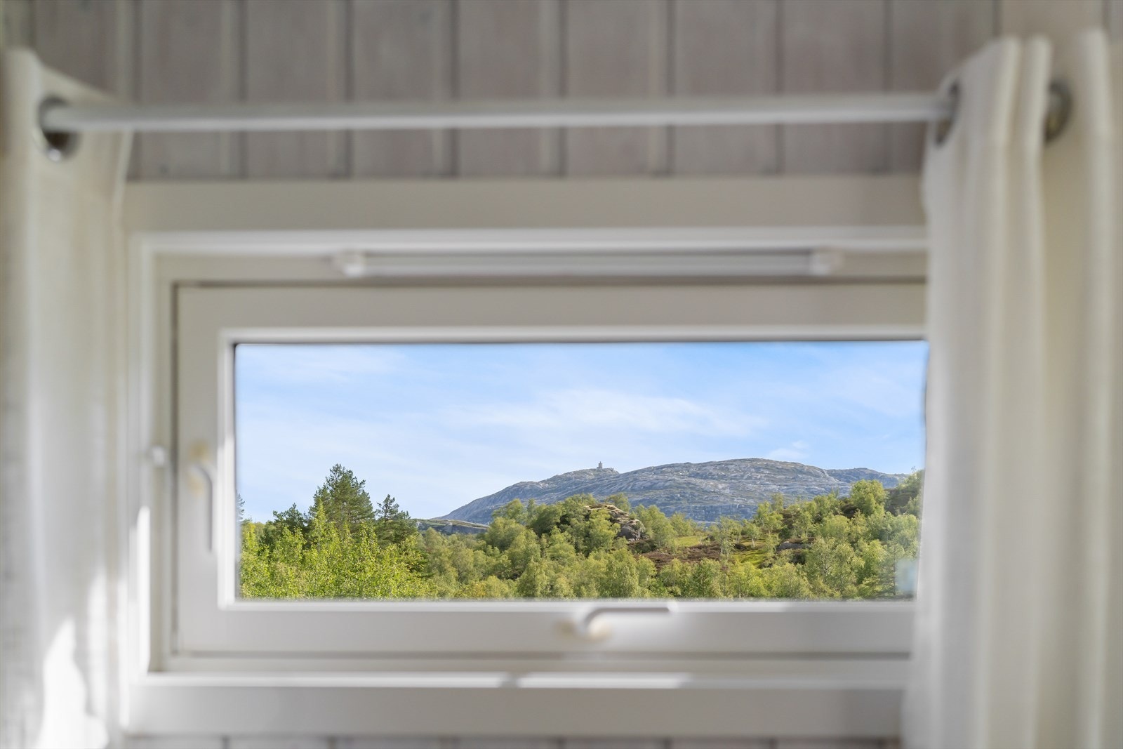 DSC05654 Galleribilde