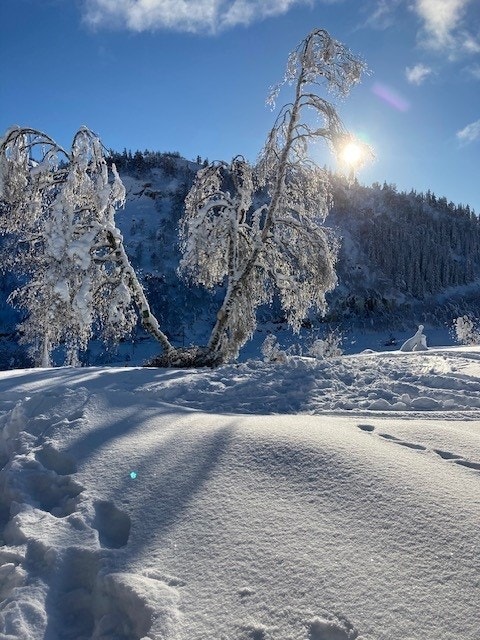 Utsiktsbilde vinterstid fra hytta Galleribilde