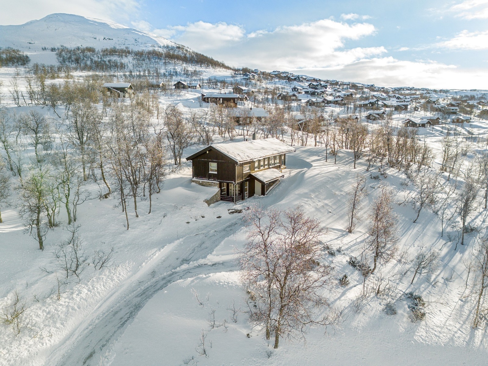 Dersom man ønsker en tur til alpinbakken er det kort avstand til Tyin/Filefjell skisenter som har fem heiser, totalt 17 km nedfarter og eget barneområde med heis og barnebånd. Her finner man skiutleie, skiskole og serveringsted tilknyttet anlegget. Galleribilde