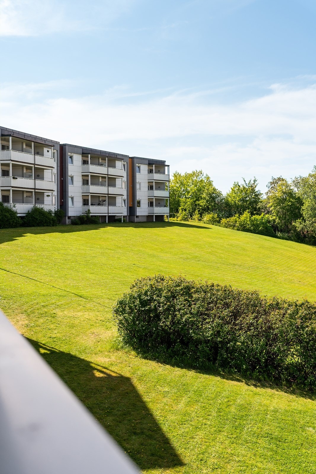 Store fine grøntområder i borettslaget. Galleribilde
