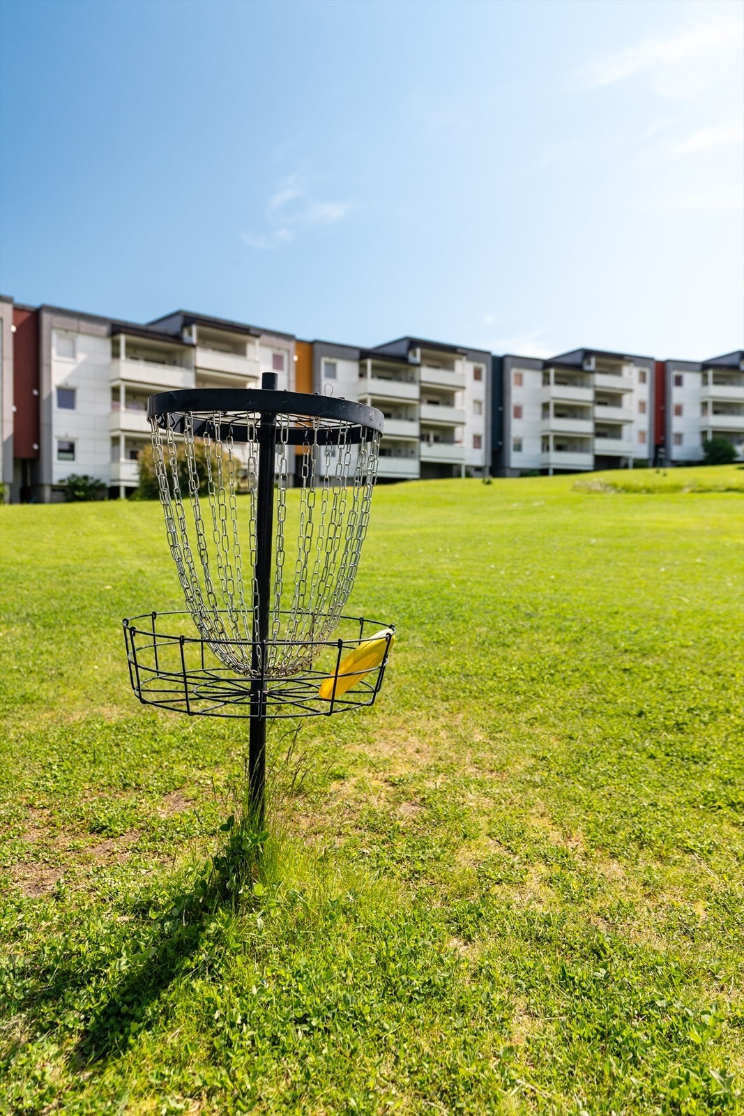Ute kan både store og små fritt leke og nyte gode dager. Galleribilde