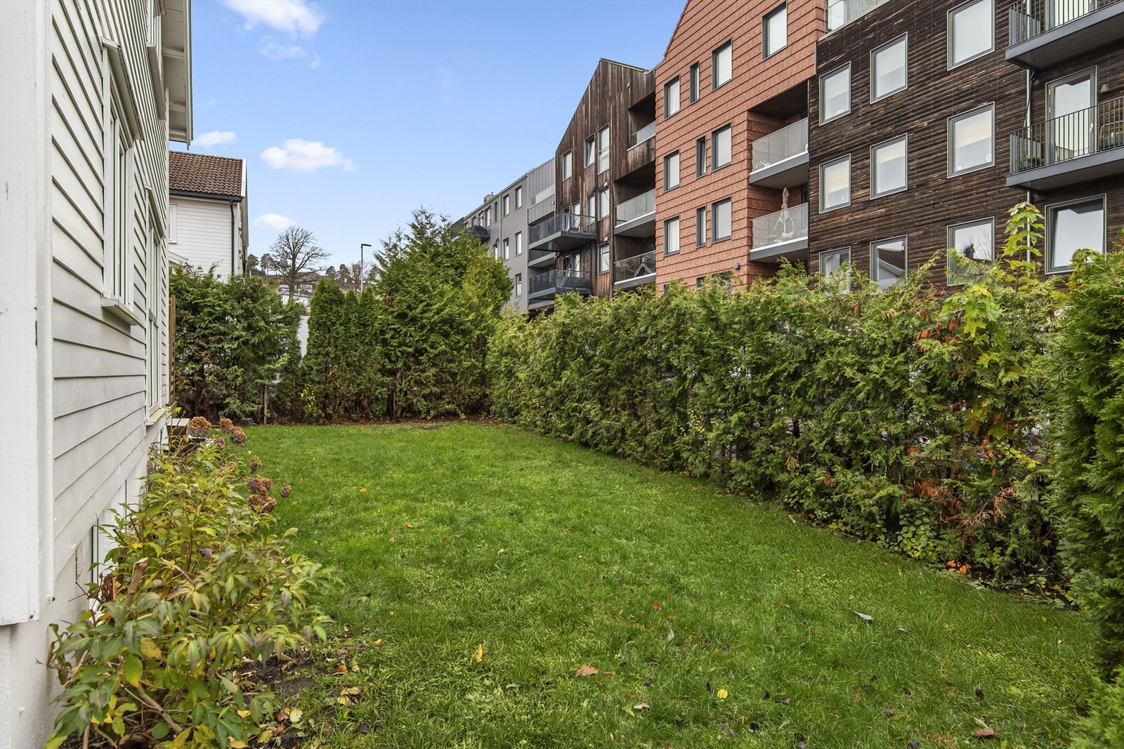 Hagedel Galleribilde