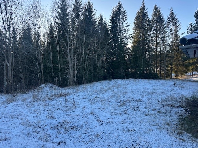 Tomten er ubebygd. Galleribilde