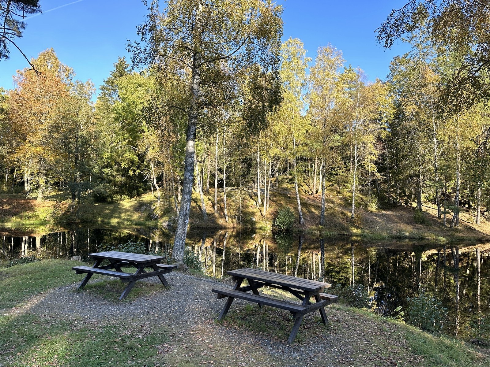 IMG_2086 Galleribilde