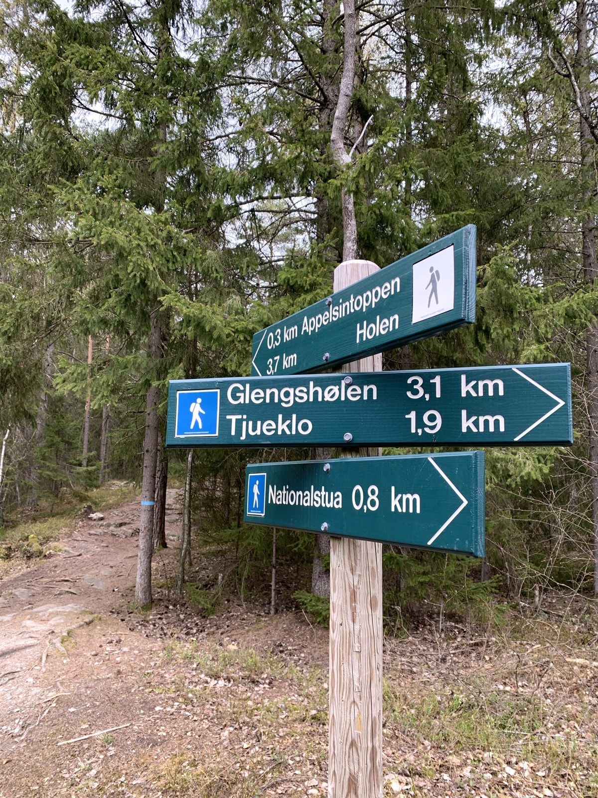 IMG_0445 Galleribilde