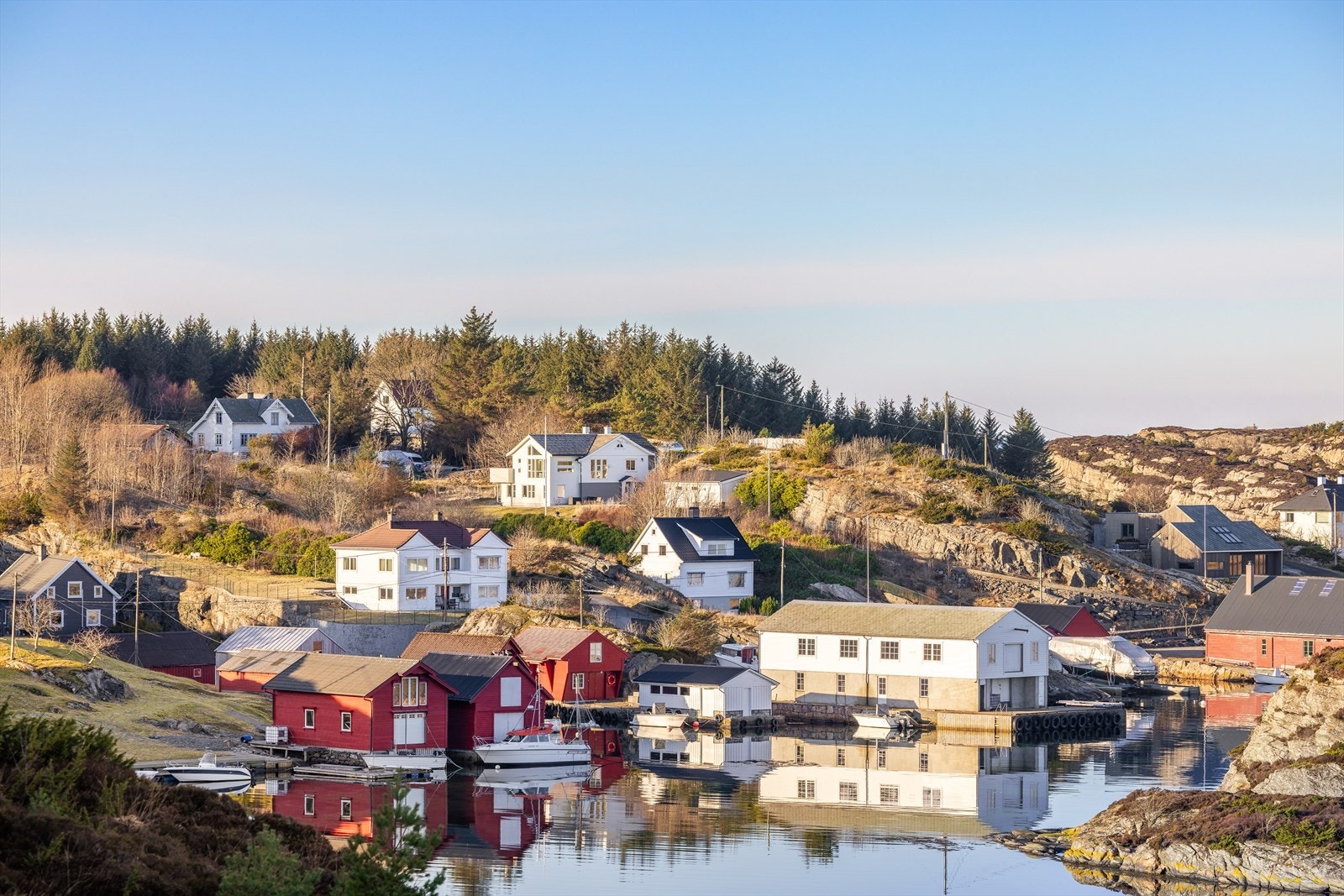 Nærområde Galleribilde