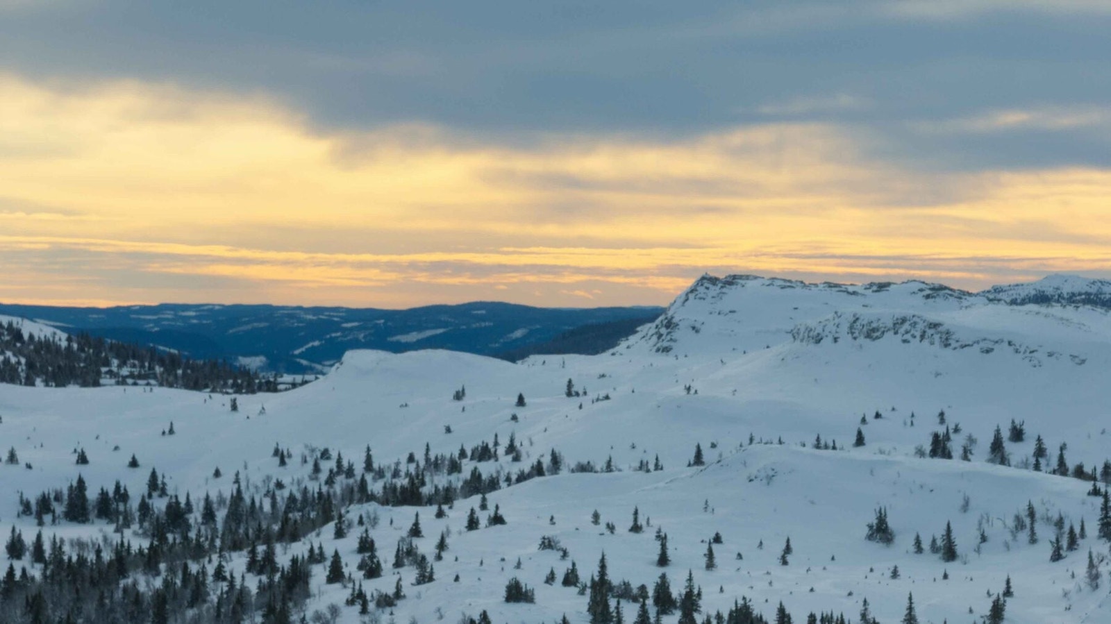 Fra fjellene bak tomteområdet Galleribilde