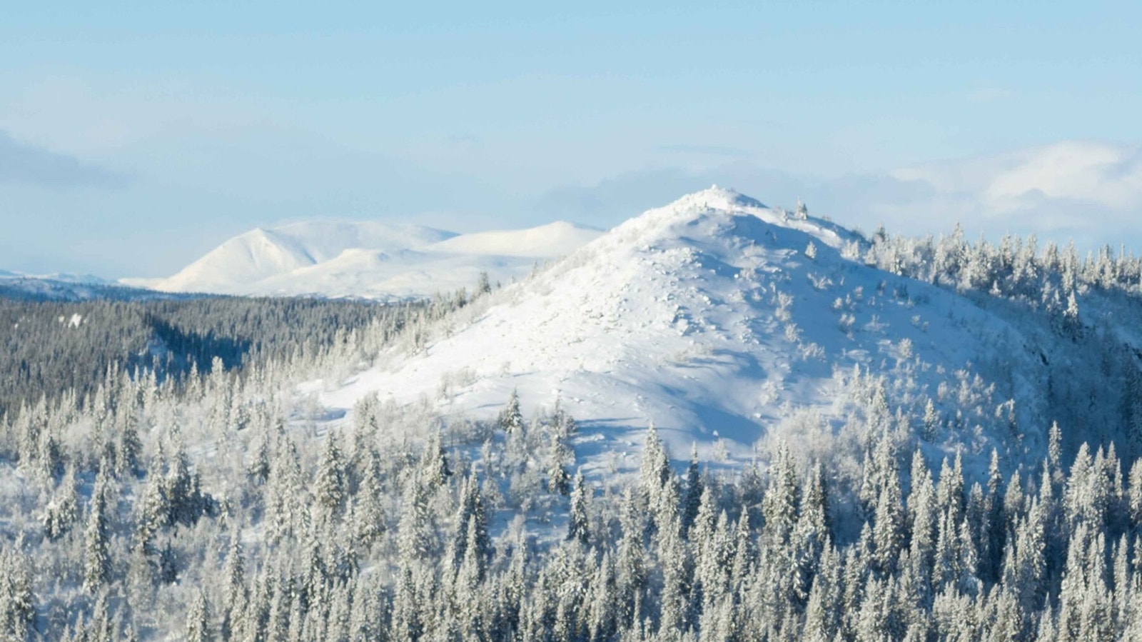 Oppe på Hestknappen får man nydelig utsikt mot vest, her mot Heidalsmuen og Saukampen Galleribilde