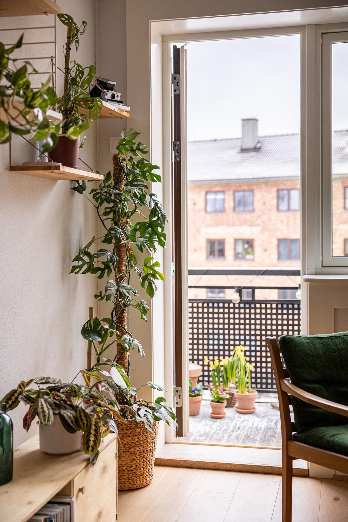 Fra stuen kommer man ut til den solrike balkongen. Balkong-døren og vinduet i stuen er fra februar 2026. Galleribilde