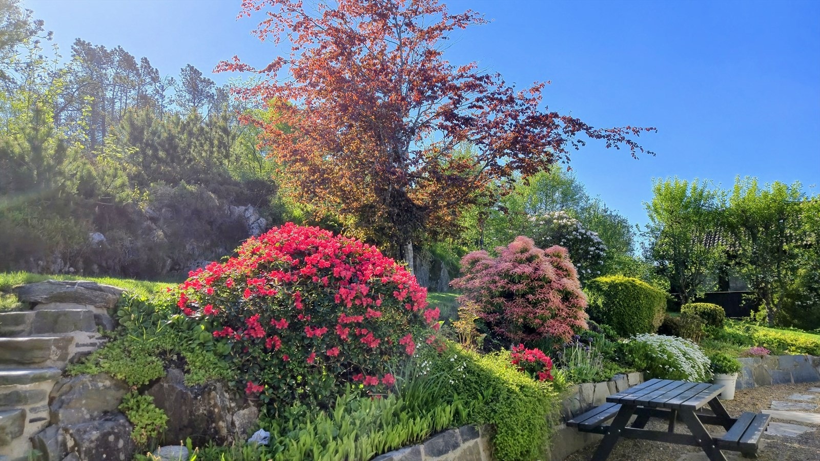 Flott beplantet hage. Galleribilde