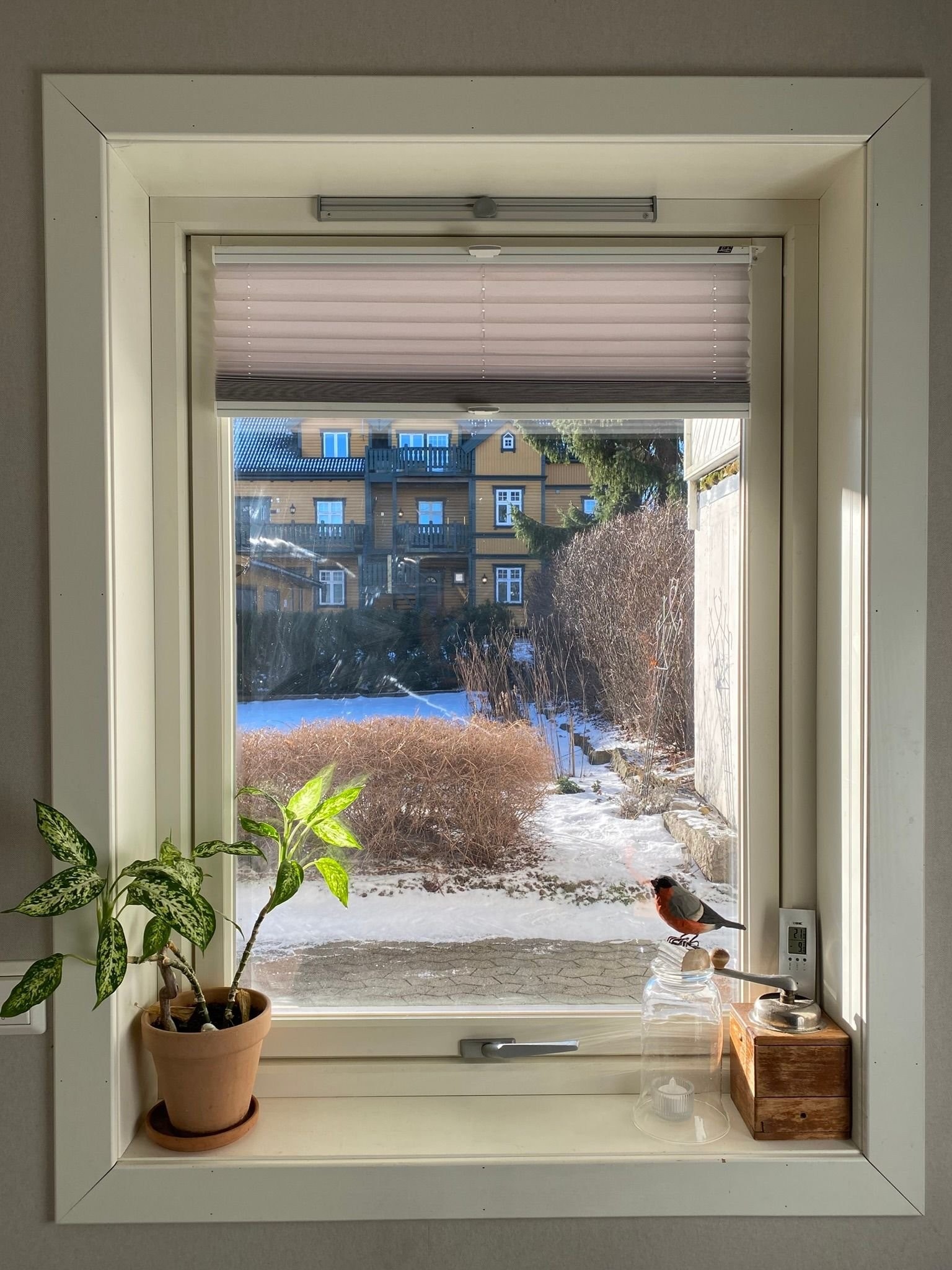 kjøkkenvindu med morgensol. Vinduer med karmer av tre og to-lags glass fra 2014/16. Borettslag byttet alle vinduer og entredører i 2016. Galleribilde