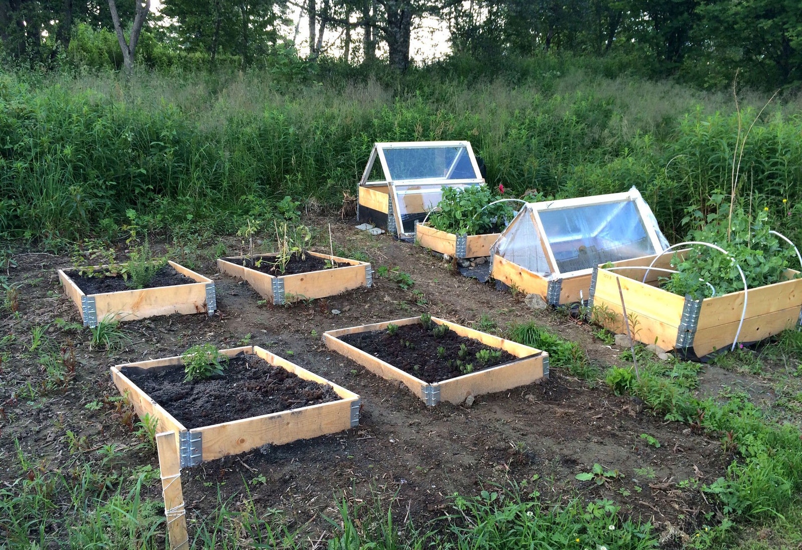 Felles parsellhage for beboerne. Galleribilde