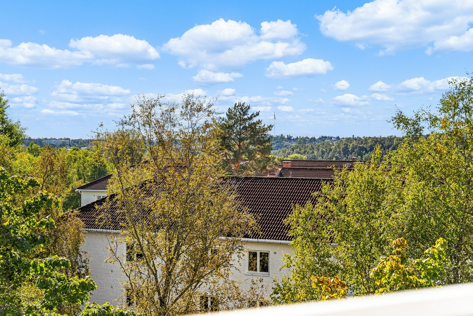 Utsikten Galleribilde