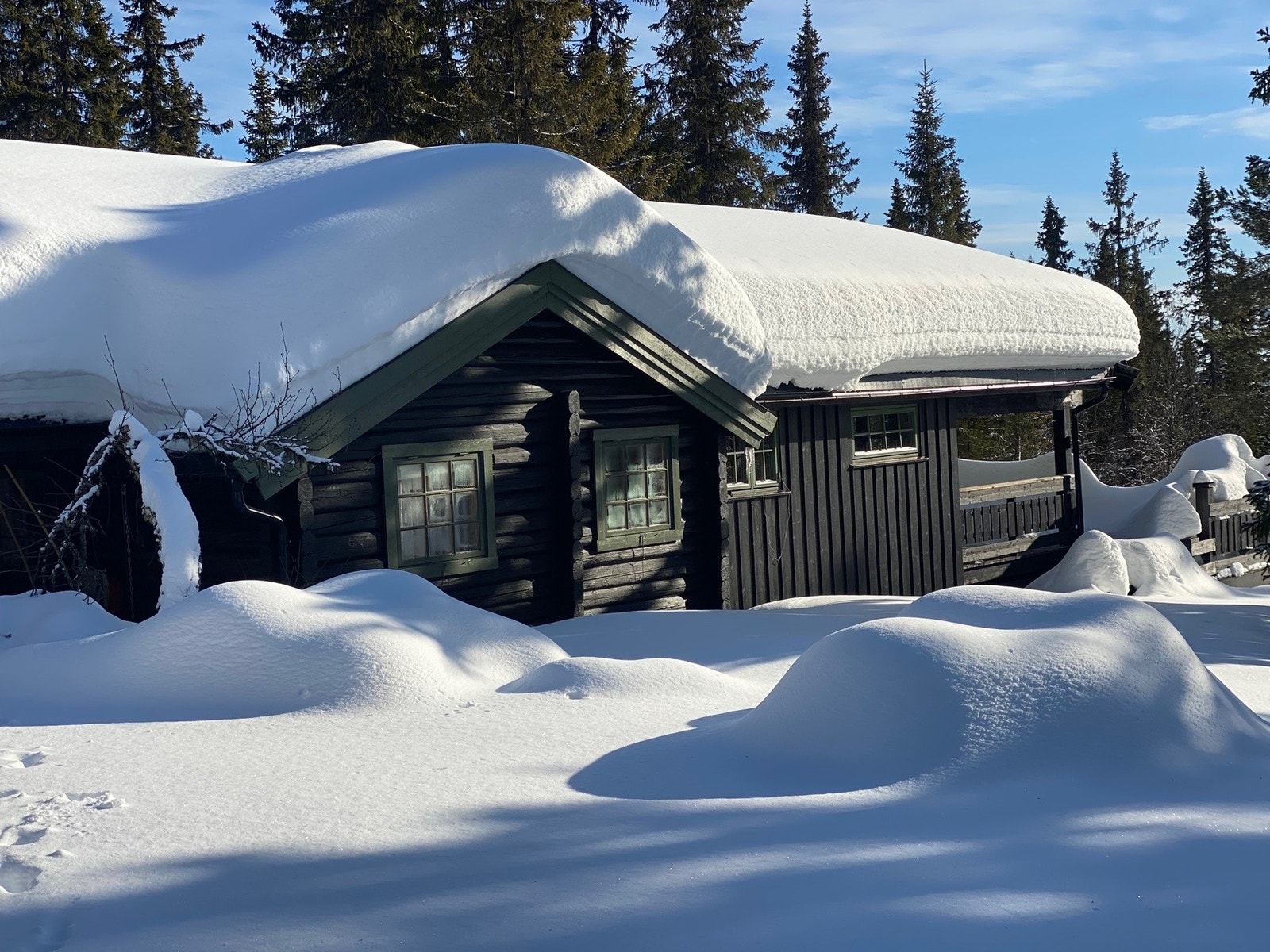 Hytta ligger koselig og skjermet til på naturtomt. Overbygd inngangsparti. Galleribilde