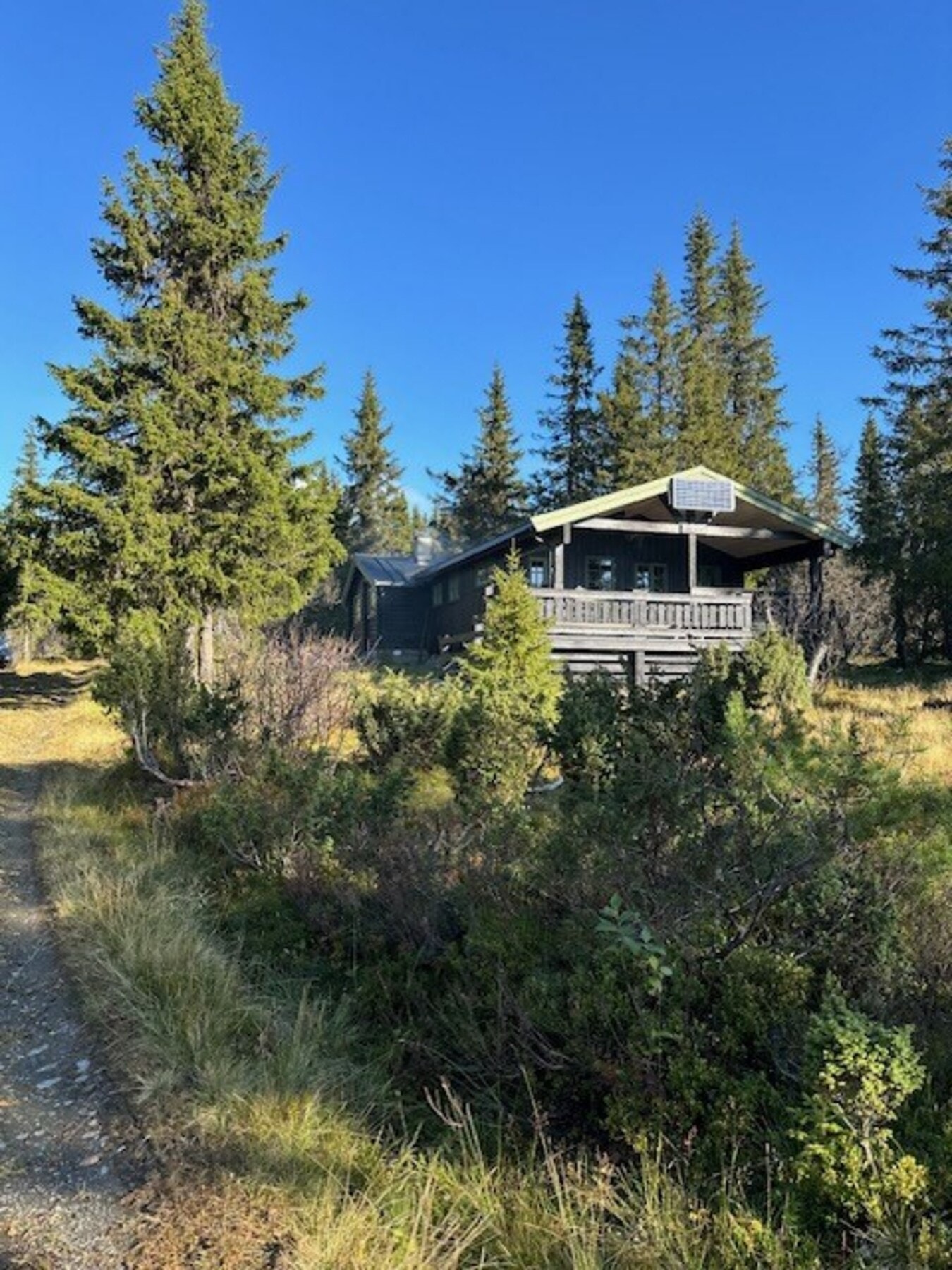 Eiendommen har gode solforhold. Galleribilde