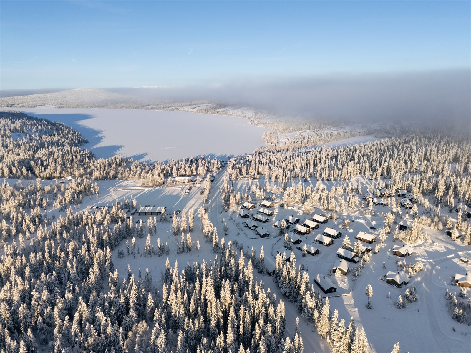 Velkommen til visning - husk å melde deg på! Galleribilde