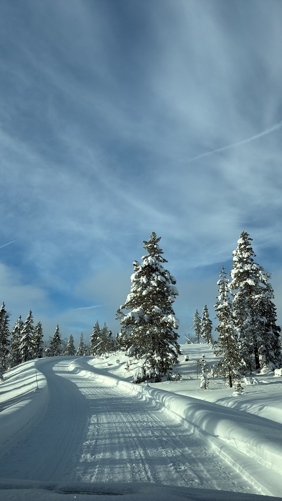 - Privat bilde fra selger - Galleribilde