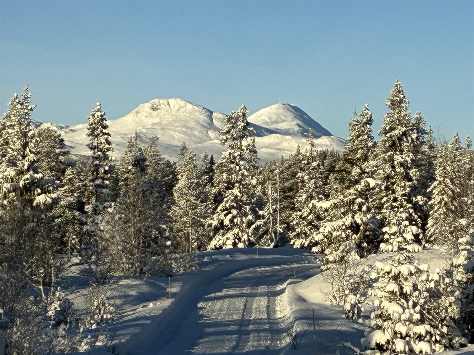 - Privat bilde fra selger - Galleribilde