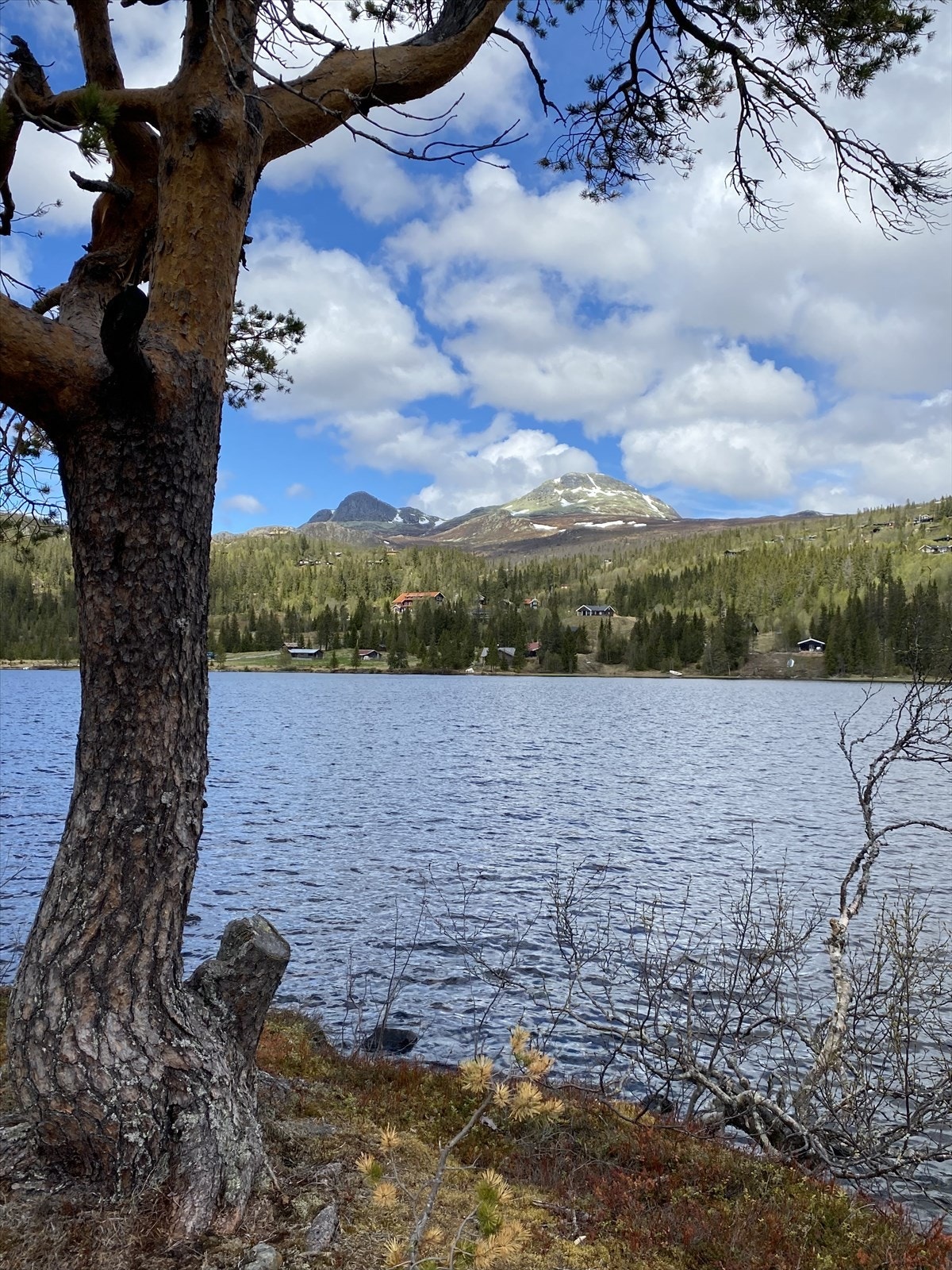 - Privat bilde fra selger - Galleribilde