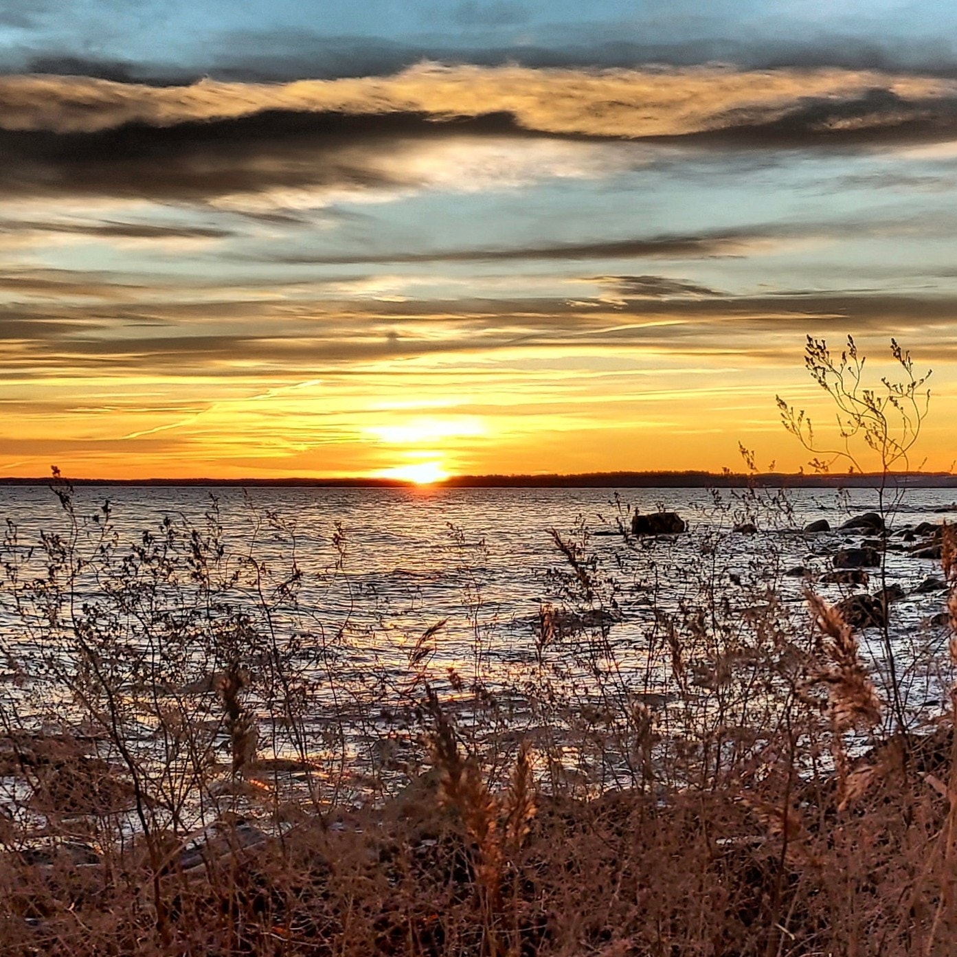 Selgers private bilder (4).jpg Galleribilde