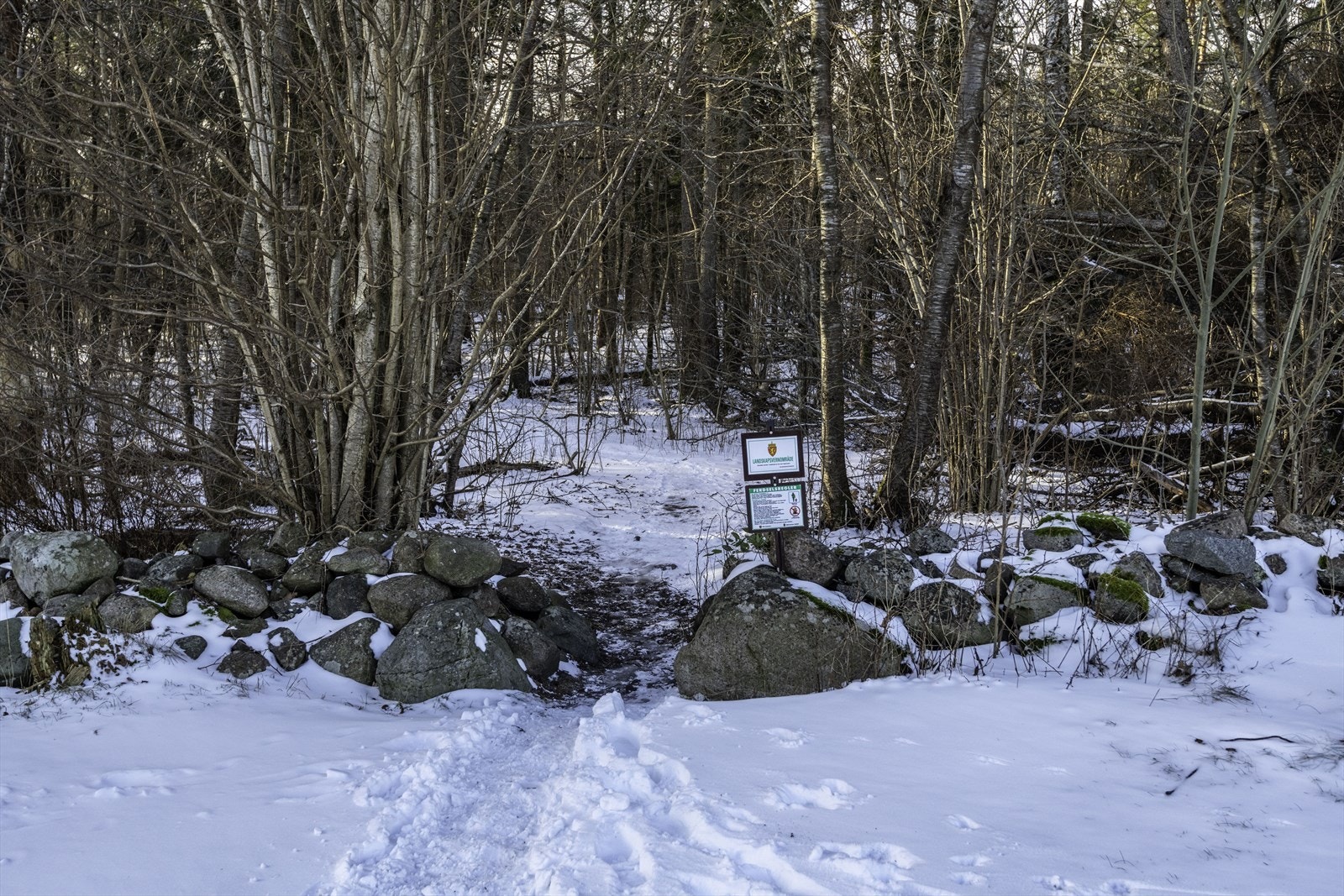 DSC_0765.jpg Galleribilde