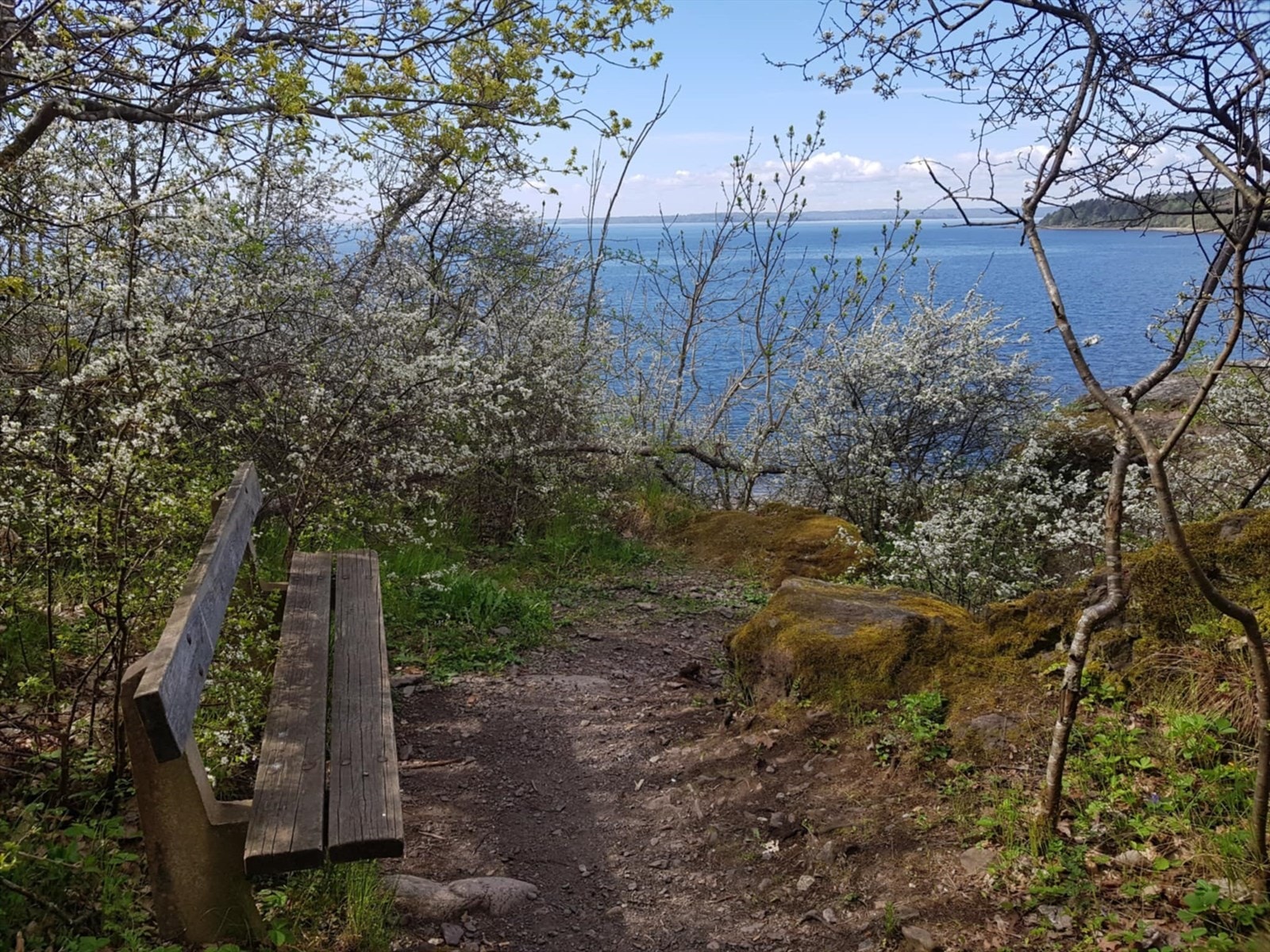 Messenger_creation_BD9A7132-8561-43FA-8646-BF6C4C9426D8 (2).jpeg Galleribilde