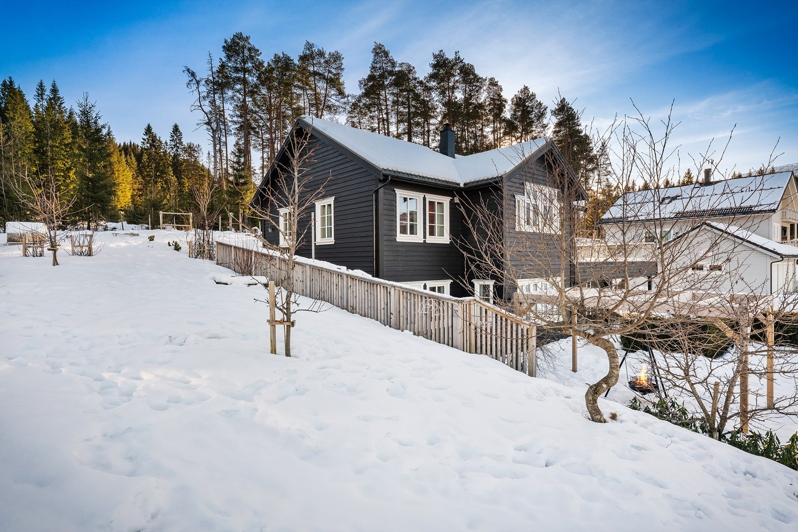 Og bærbusker. Galleribilde