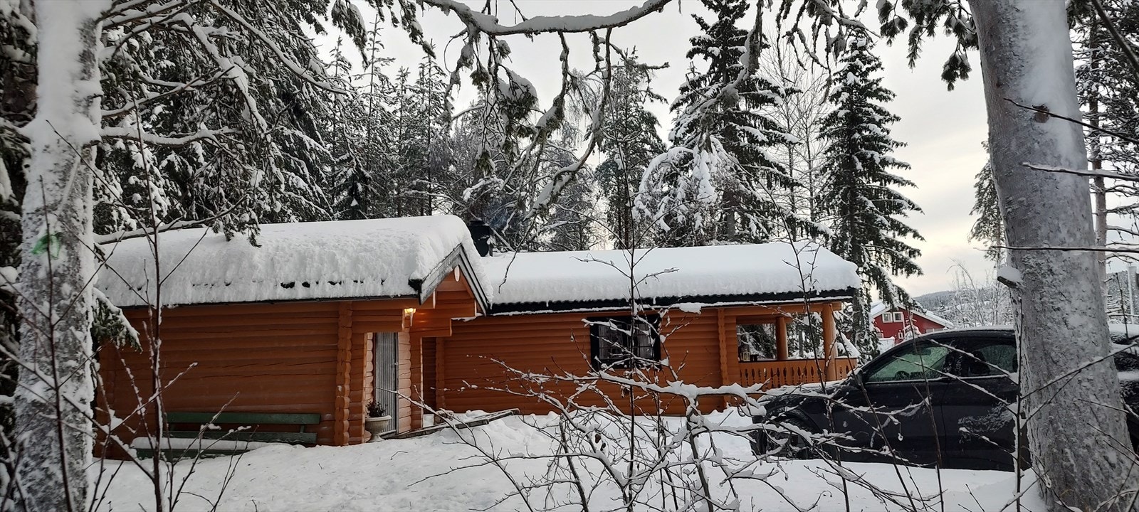 Bilder fra selger Galleribilde