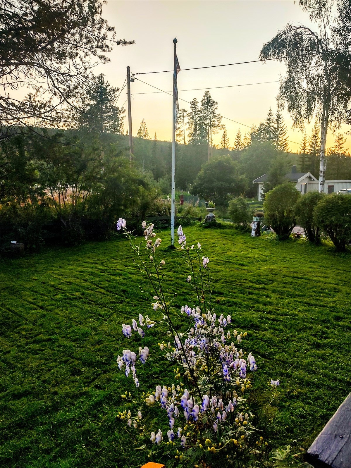 Bilde fra selger Galleribilde