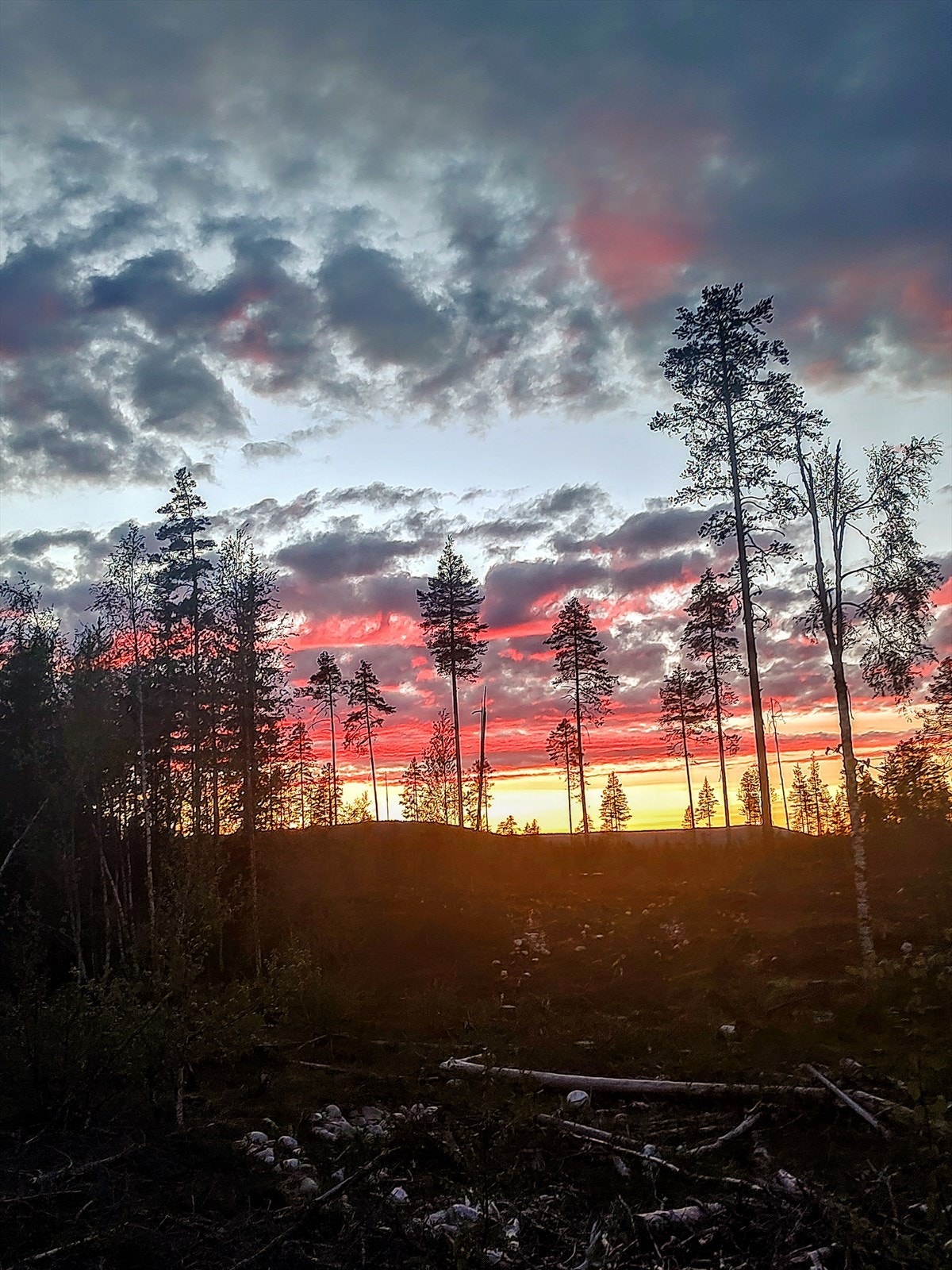 Bilde fra selger Galleribilde