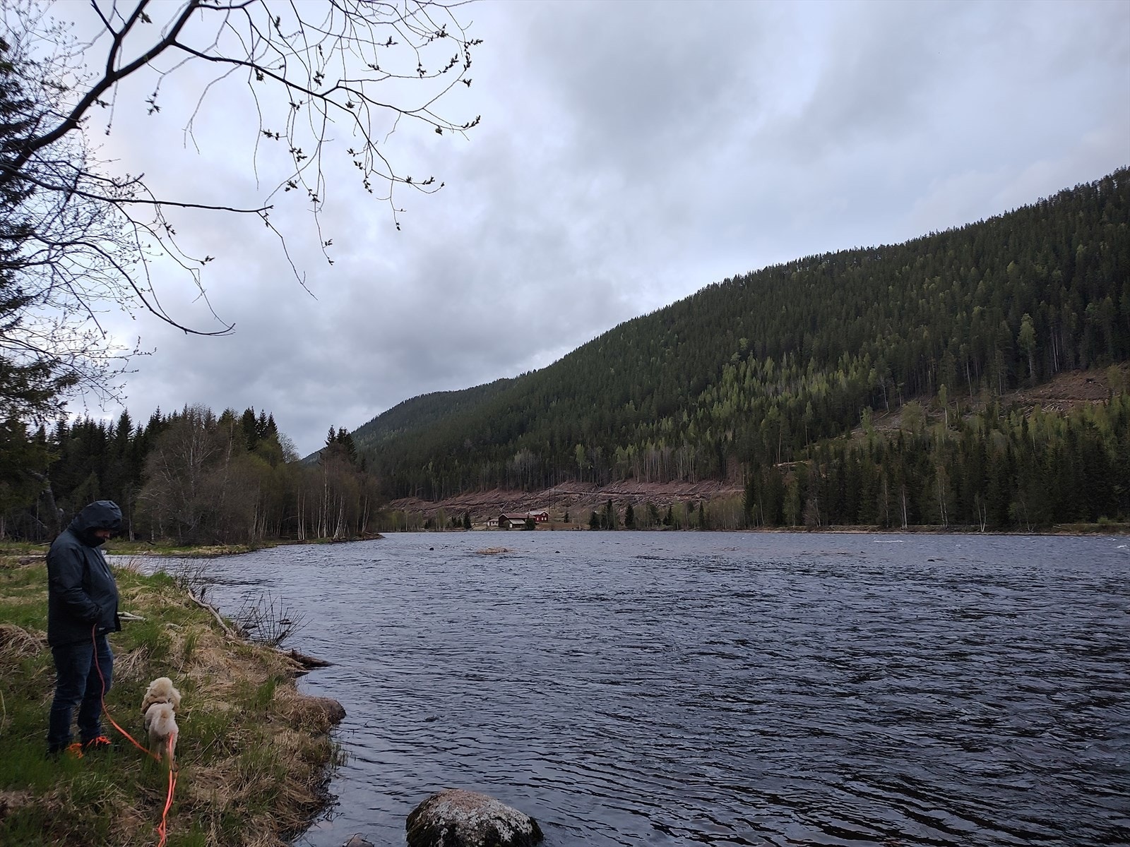 Bilder fra selger Galleribilde