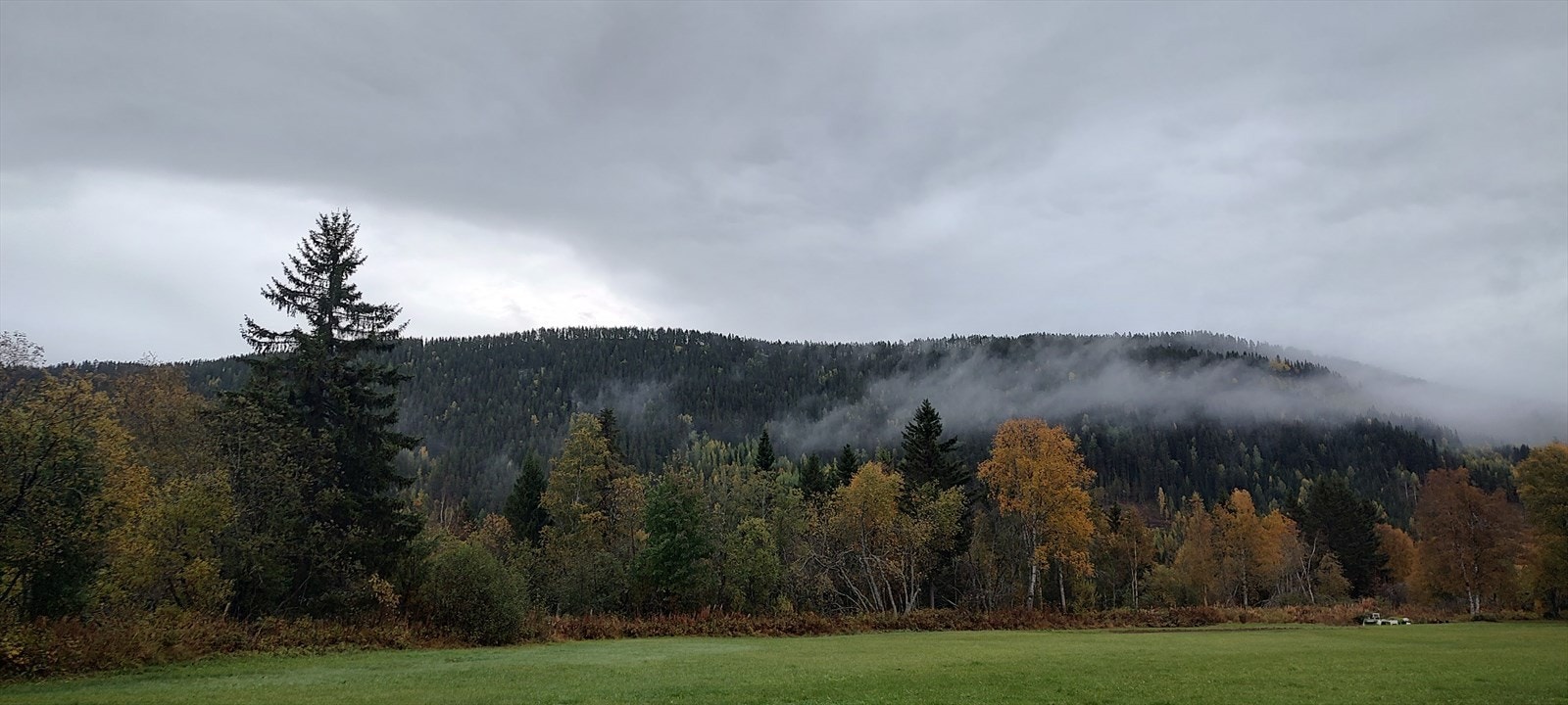 Bilde fra selger Galleribilde