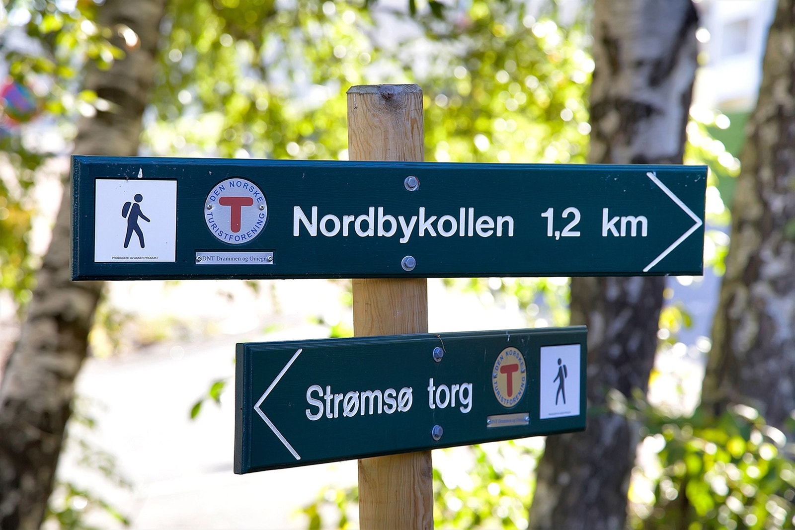 Hyggelige turområde i nærområdet Galleribilde