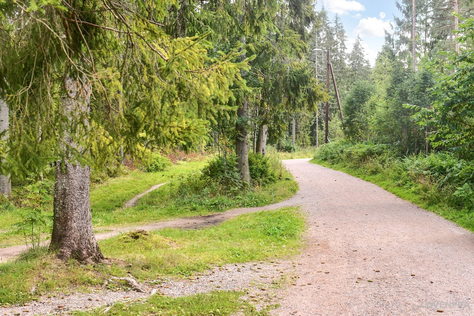 Østmarka byr på et mylder av turløyper og gir god rekreasjon, sommer som vinter. Galleribilde