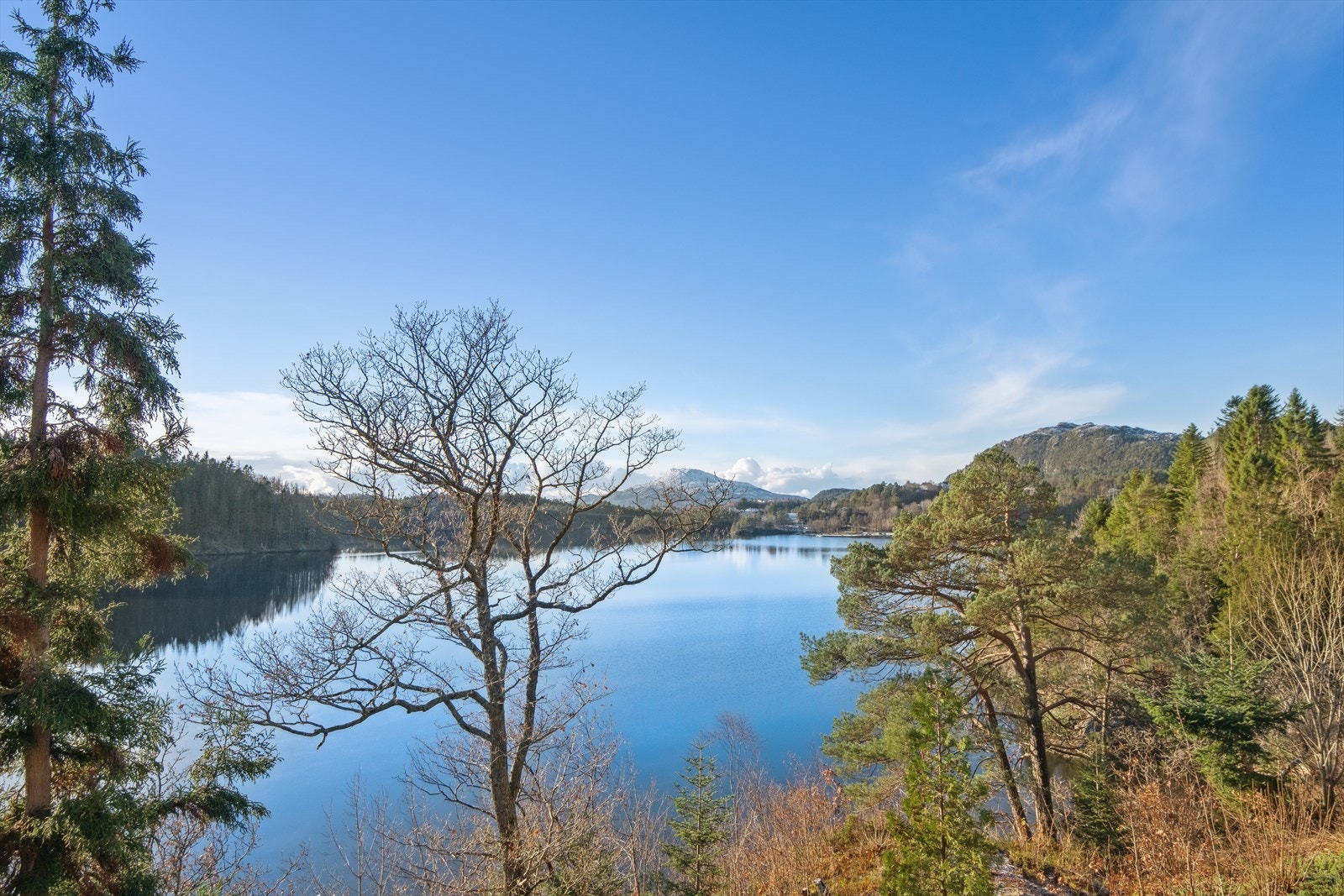 Vakker utsikt til til vannet og omkringliggende natur. Galleribilde