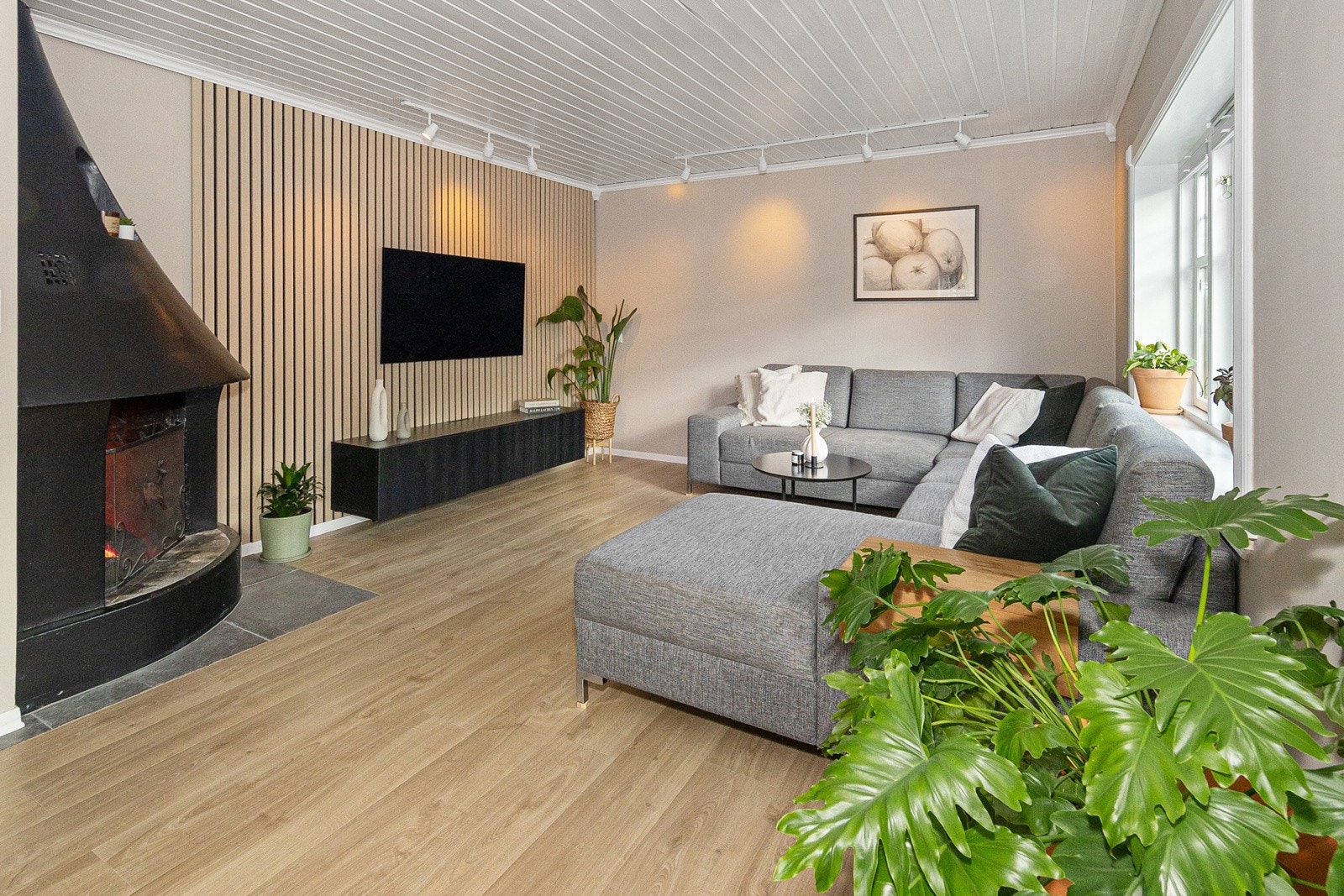 Koselig lys og pent oppusset stue Galleribilde