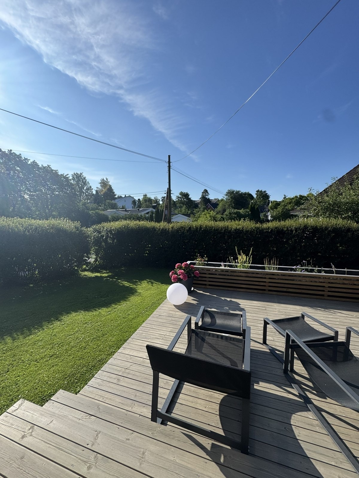 Selgers private bilder. Galleribilde