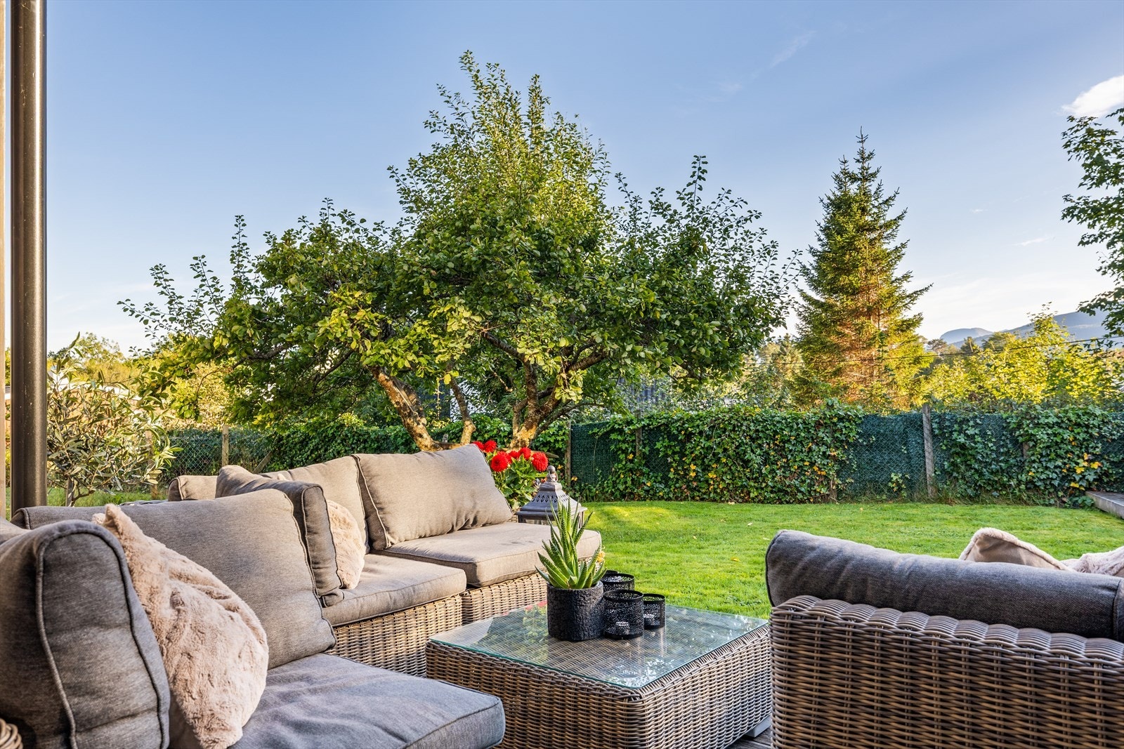 Eiendommen har beplantning og lettstelt gressplen. Galleribilde